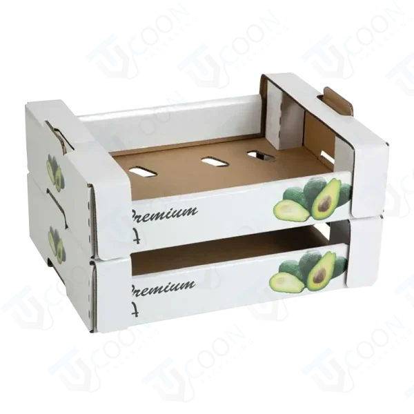 Fruit Corn Packaging Box - Image 4